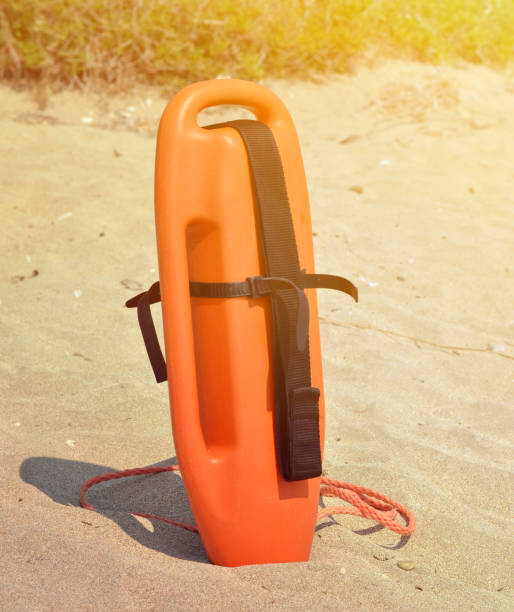 istock Lifeguard standing in the sand 650246292