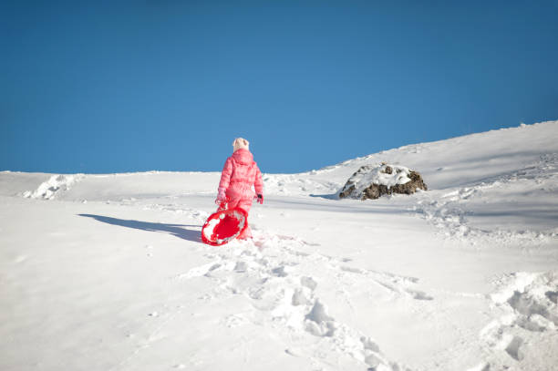 istock Child with Tobogganing in the Snow 650250644