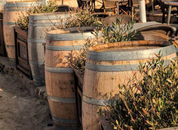 Old wooden barrels on a beach in the background a cafe