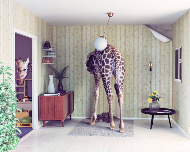 istock giraffe in the living room 650257858