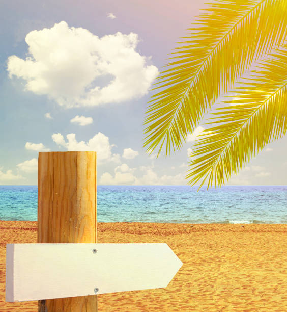 istock Paradise beach with empty wooden sign - Vacation concept 650258386