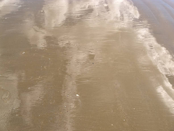 istock Reflections in shallow sea water 650269196