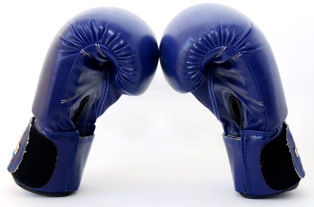 istock Blue Gloves boxing draw on white background 650270160