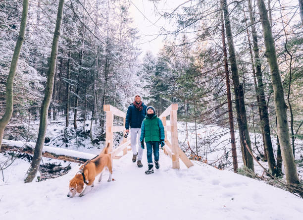 vater und sohn gehen mit hund im schneewald - snow walking stock-fotos und bilder