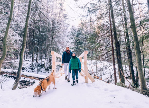 Father and son walk with dog in snow forest Father and son walk with dog in snow forest snow hiking stock pictures, royalty-free photos & images
