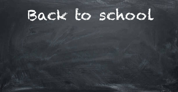 istock The texture of a school board with the words back to school.Vector 650325814