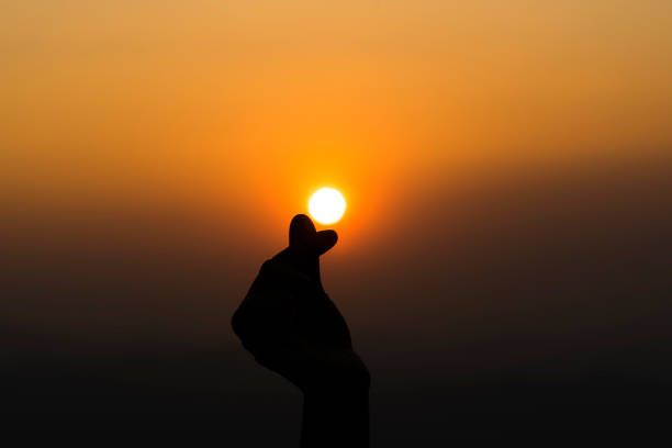 istock silhouette of people practicing yoga on the mountain at sunset 650326802