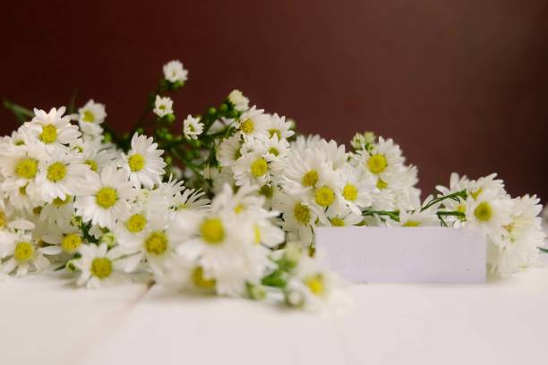 istock 