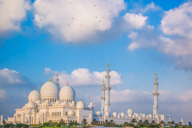 mosquée sheikh zayed grand avec oiseaux, abu dhabi, united arab emirates - sheik zayed photos et images de collection