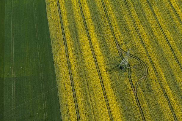 istock aerial view of harvest fields 650343970
