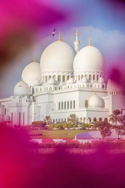 Sheikh Zayed Grand Mosque with flowers in Abu-Dhabi, United Arab Emirates