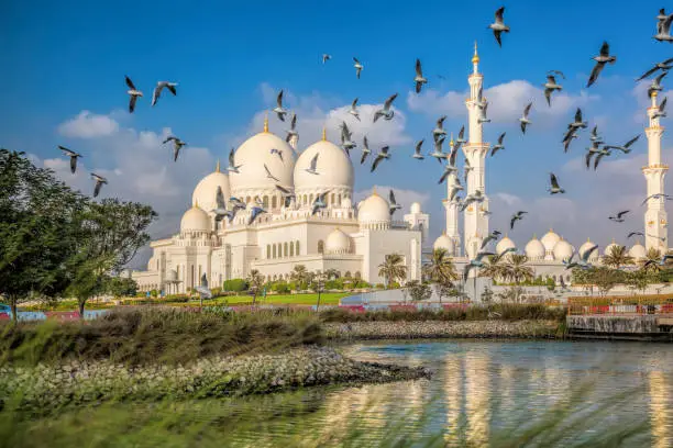 Sheikh Zayed Grand Mosque with birds, Abu-Dhabi, United Arab Emirates