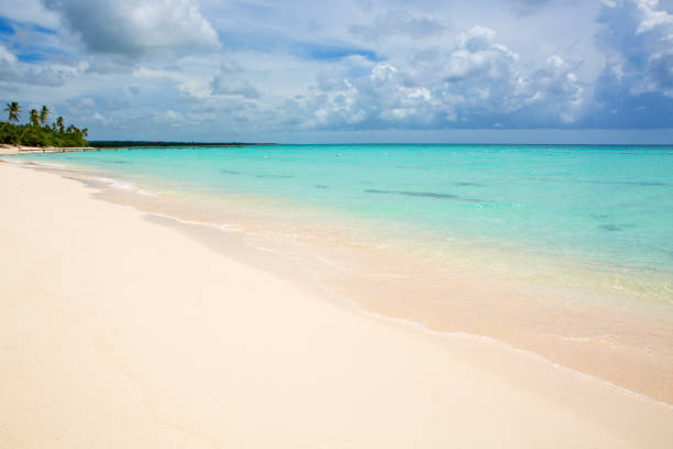 istock Tropical beach in caribbean sea 650368360