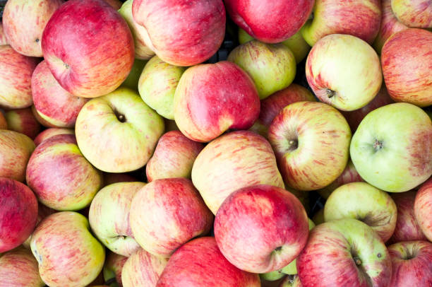 istock Fresh apples background - can be used as wallpaper 650395894