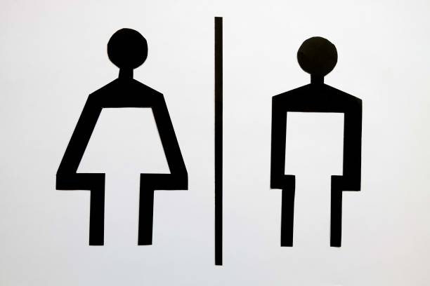 istock paper cut background for toilet room 650401528