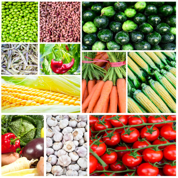 istock Vegetable collage - Group of various fresh vegetables 650402912