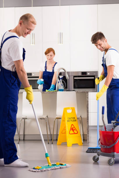istock Professional cleaning of the kitchen 650426454