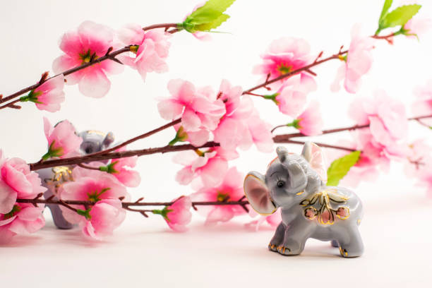 istock Cherry tree branch with flowers over white background 650481324