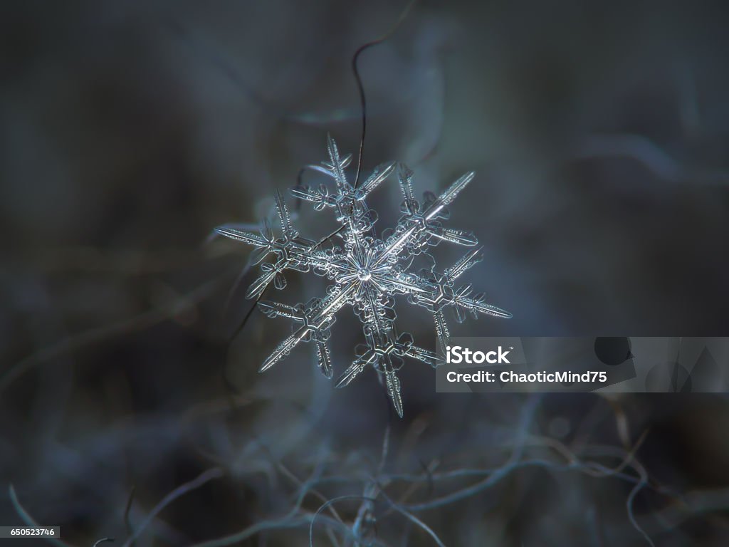 Snowflake glitters on dark gray textured background Macro photo of real snowflake: small snow crystal of stellar dendrite type with star-shaped, bright center and thin, sharp arms with side branches and excellent symmetry, glittering on dark cyan wool background in diffused light of winter sky. Abstract Stock Photo