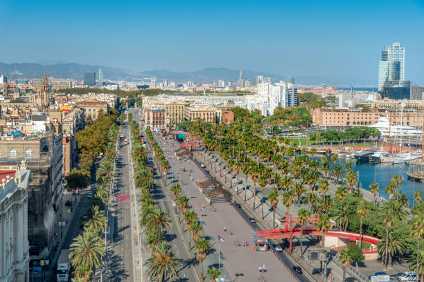 istock Aerial view of Barcelona 650529812