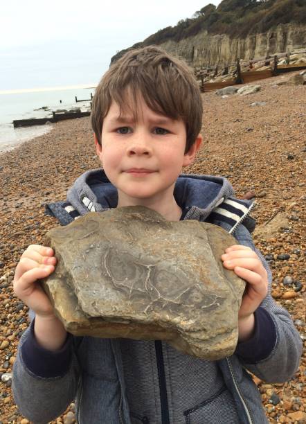 Boy fossil hunting on the jurassic coast stock photo