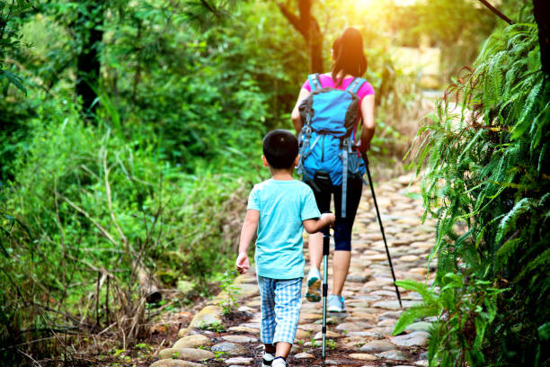istock Mother and son hiking in forest 650577892