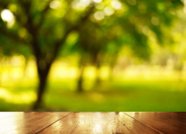 istock wood table top with blur green ttree in garden background 650581184