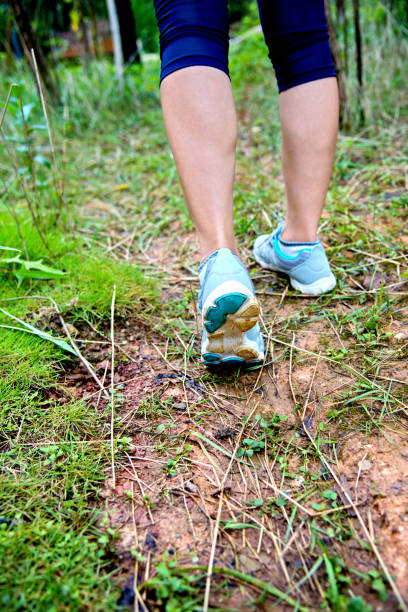 istock Woman legs hiking in the forest 650581890
