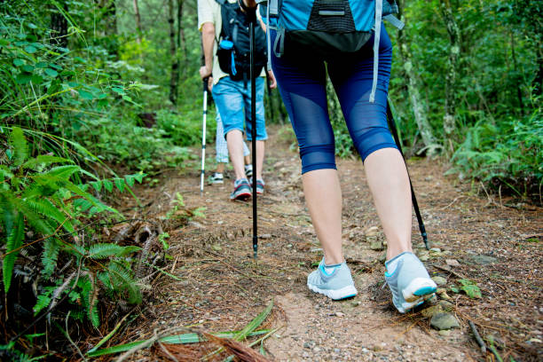istock Asian family hiking in forest 650588900
