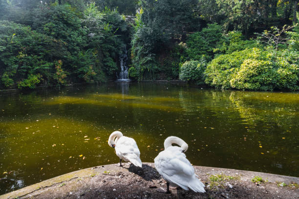 istock Varese (Italy):  Giardini degli Estensi, historic park 650590240
