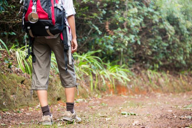istock Female hiker walking in forest with backpack 650599968