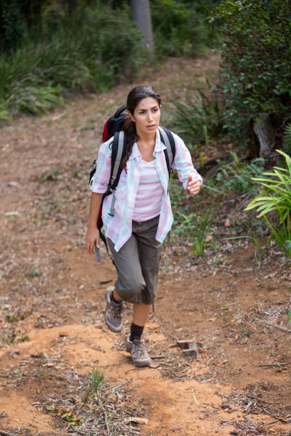 istock Female hiker walking in forest 650606410