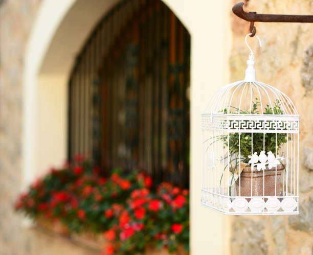 istock Beautiful white cage with flowers in old town 650616538