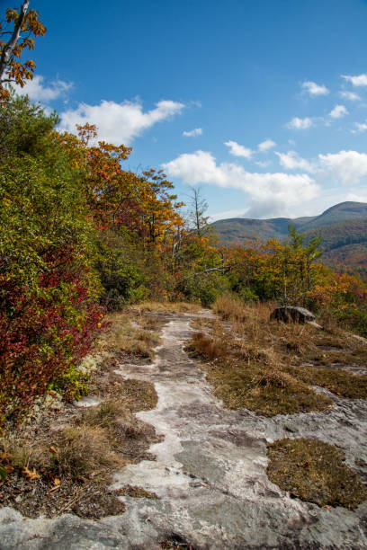 istock Autumn landscape in the Appalachian Mountains 650621318