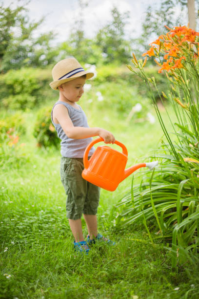istock Boy watering tomatoes in summer garden 650625052