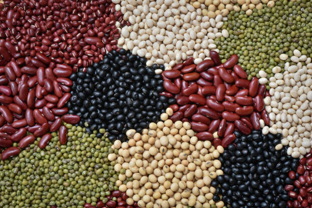 istock Prepared multicolor dry legumes organic for cooking 650628806