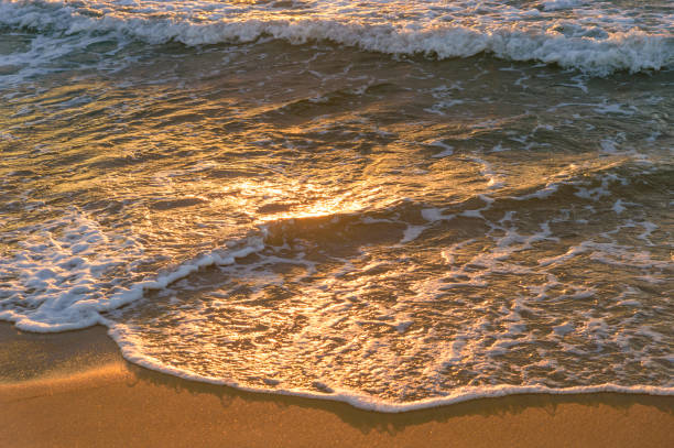 istock Girl walking on the beach at sunset 650635428