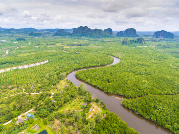 istock Panoramic sea view and coastline in asia 650641814