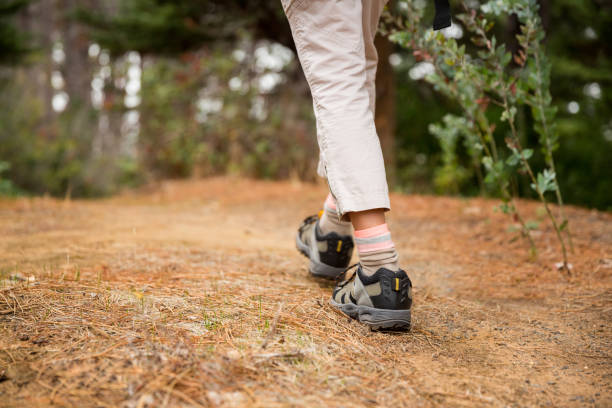 istock Female hiker walking in forest 650643006