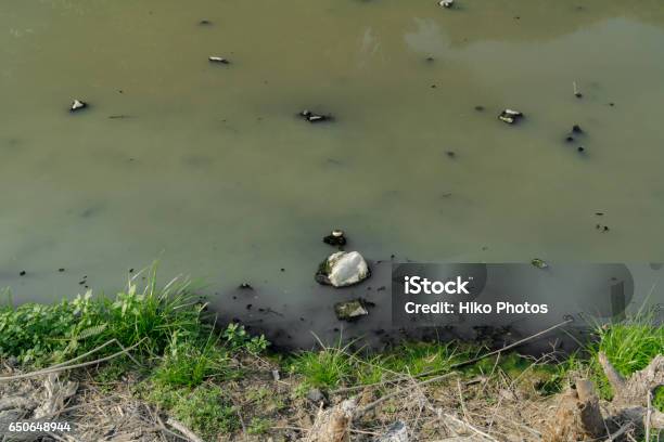 Environment Problem Waste Water Industrial Sewage Stock Photo - Download Image Now