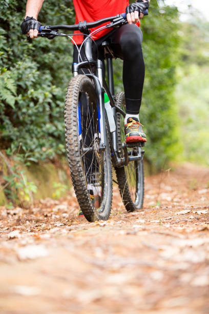 istock Male cyclist cycling in countryside 650651238