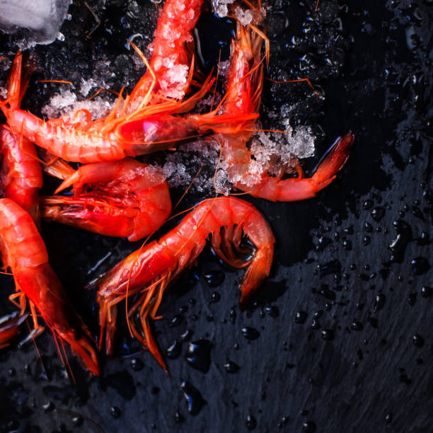 istock Fresh raw shrimps on black background with ice - Food background with copyspace 650682864