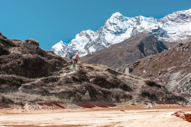 istock Desert terrain on Foreground and Mountains on Background 650689464