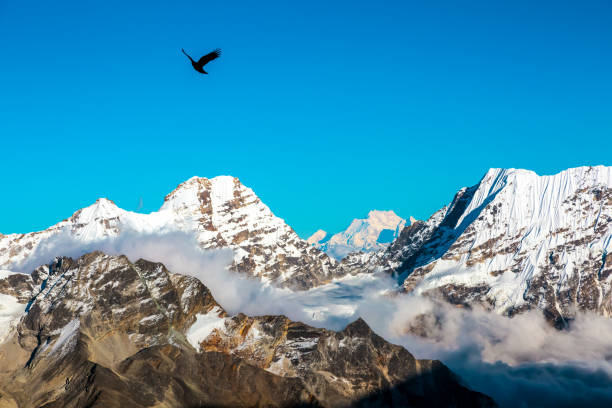 istock Mountain View at high Altitude Clouds Sky and Bird flying 650694582