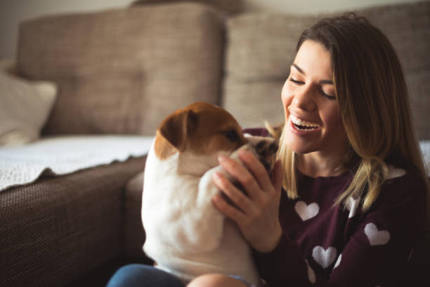istock Happiness is a playful puppy 650695526