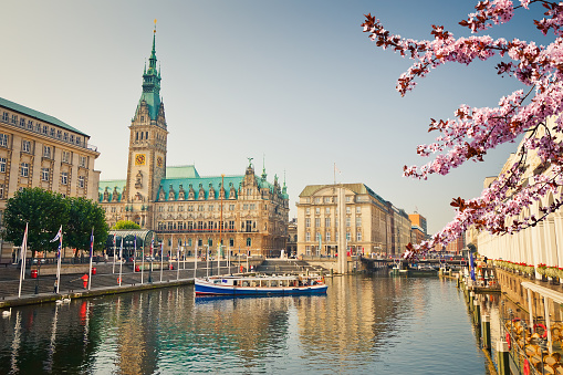Ver en el Ayuntamiento de Hamburgo en la primavera photo