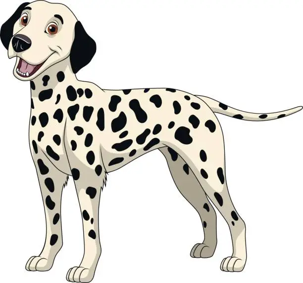Vector illustration of Funny purebred Dalmatian