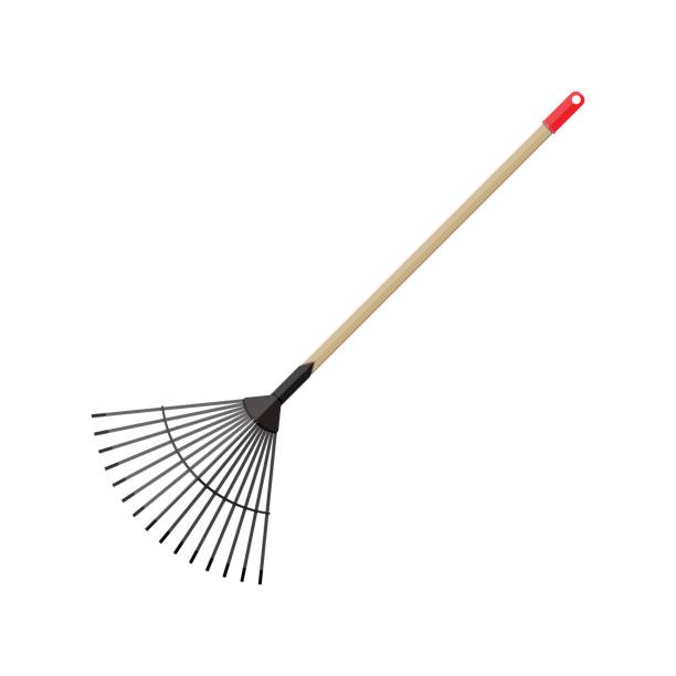 istock Metal rake with wooden handle. Garden accessories 650696998