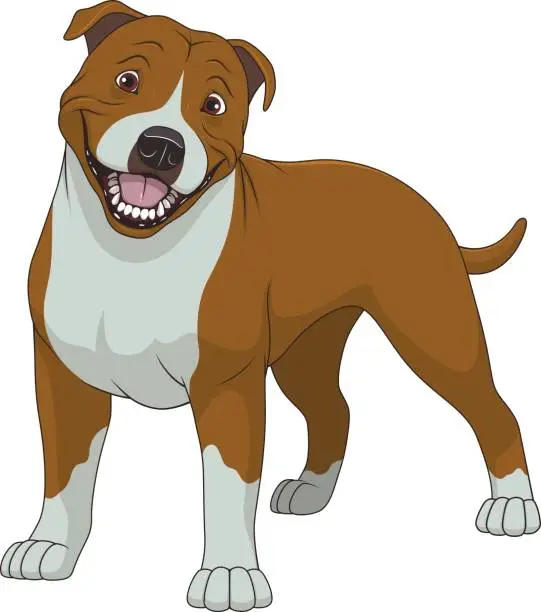 Vector illustration of Funny purebred Staffordshire Bull Terrier