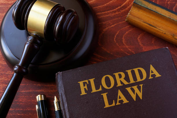istock Book with title Florida law and a gavel. 650699658
